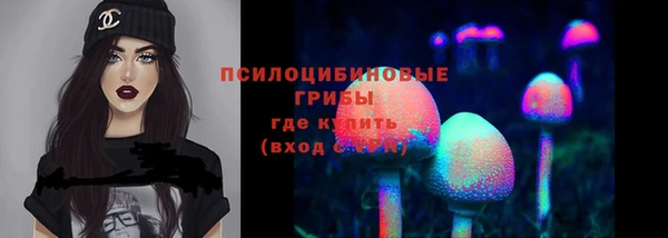 стафф Приозерск