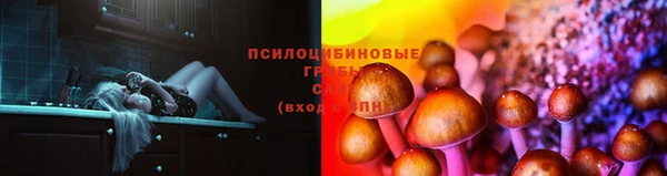 таблы Пролетарск
