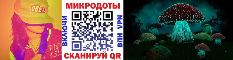 Галлюциногенные грибы прущие грибы  кракен сайт  Новосокольники  где продают  